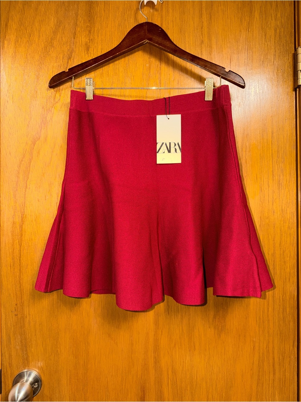 Zara Berry Swing Skater Skirt
